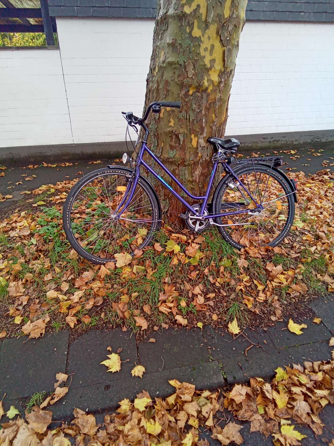 Bild zu gemeldetem Anliegen vom *2025-10-20 09:33:51