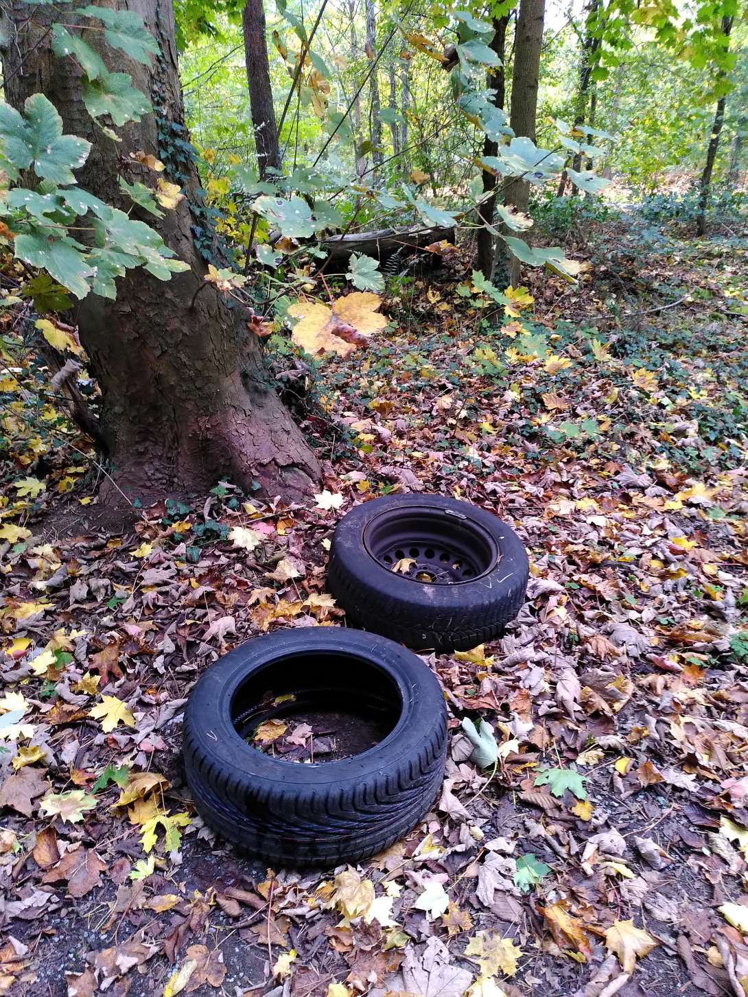 Bild zu gemeldetem Anliegen vom *2025-10-24 18:11:51