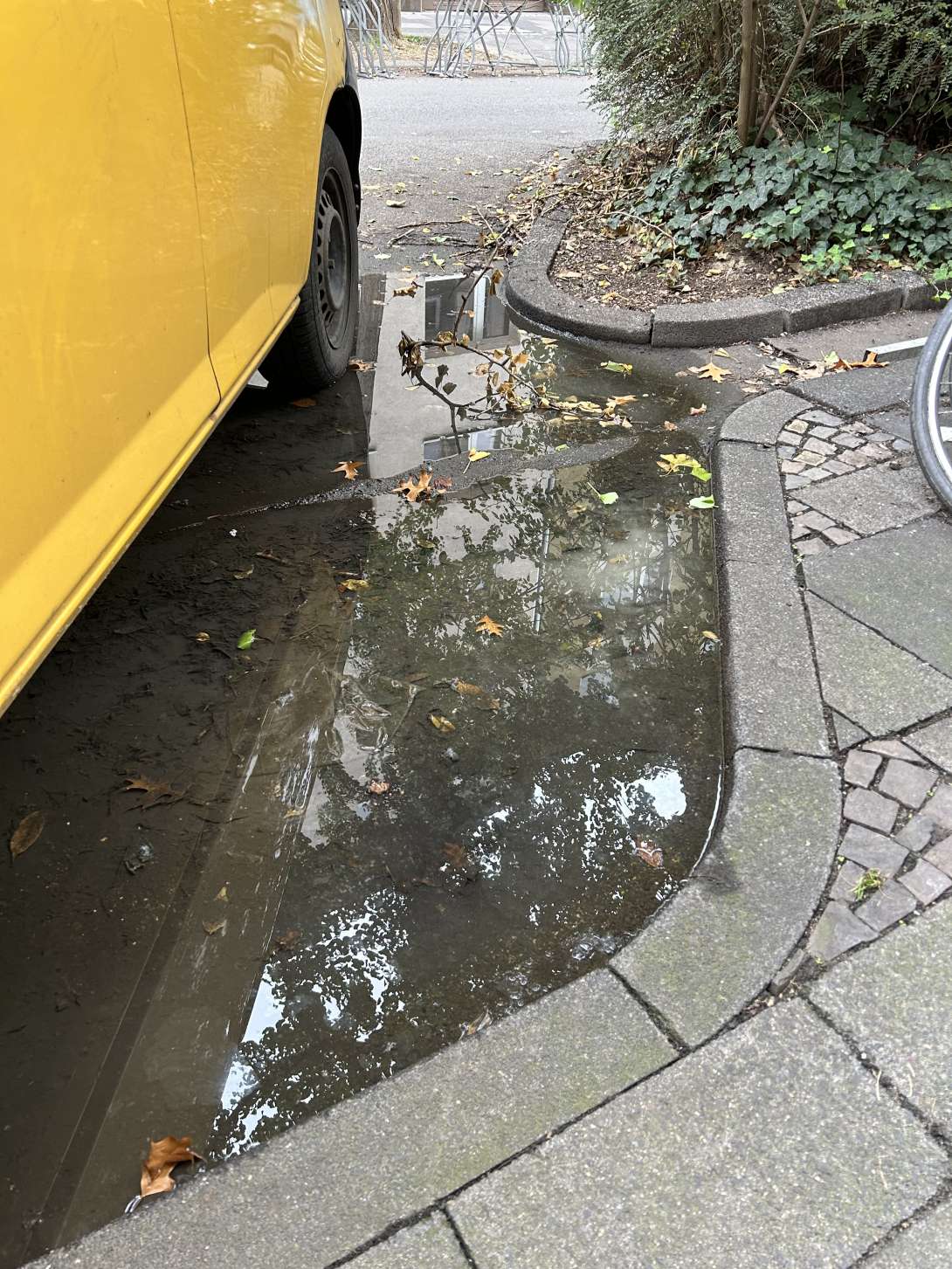 Bild zu gemeldetem Anliegen vom *2025-10-24 08:26:33