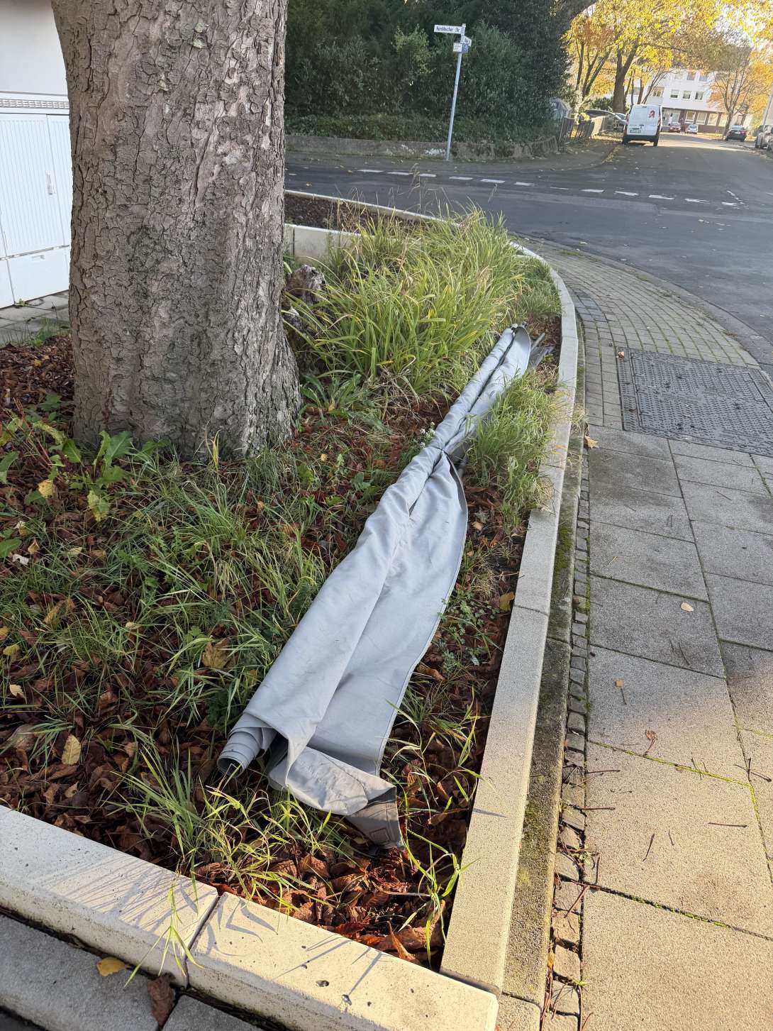 Bild zu gemeldetem Anliegen vom *2025-10-30 15:30:42