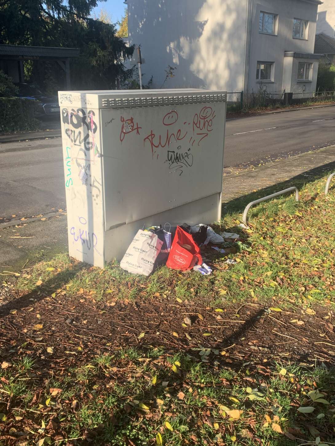 Bild zu gemeldetem Anliegen vom *2025-10-30 12:29:01