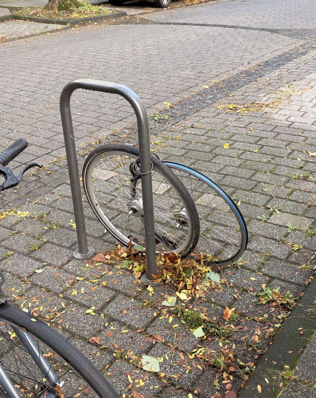 Bild zu gemeldetem Anliegen vom *2025-10-27 09:36:21