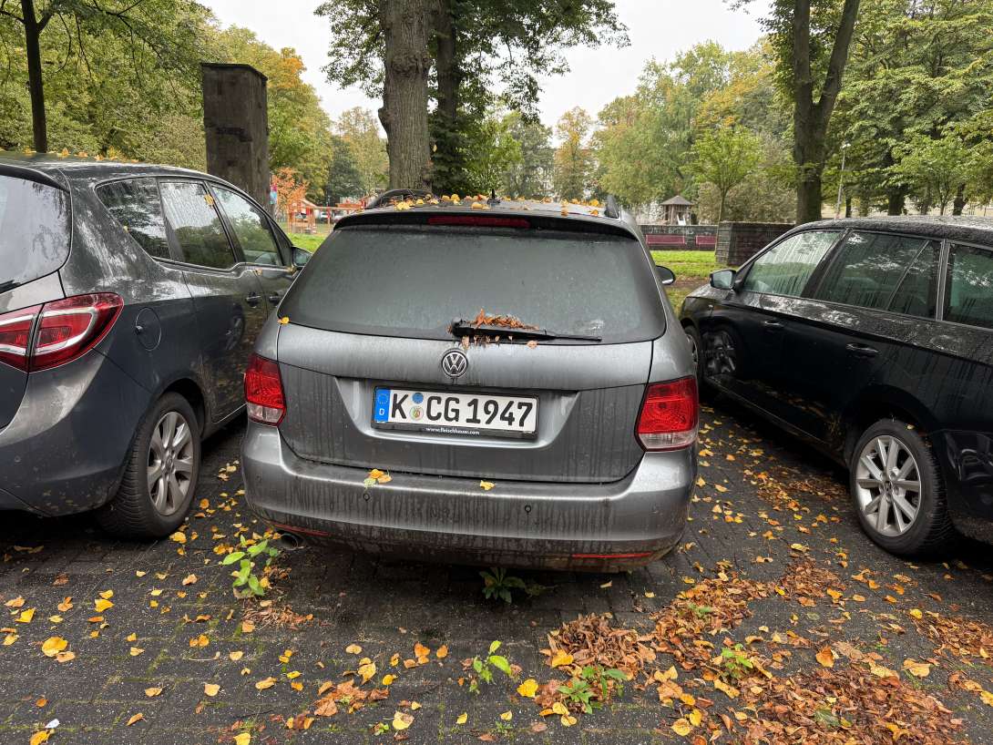 Bild zu gemeldetem Anliegen vom *2025-10-31 18:31:01