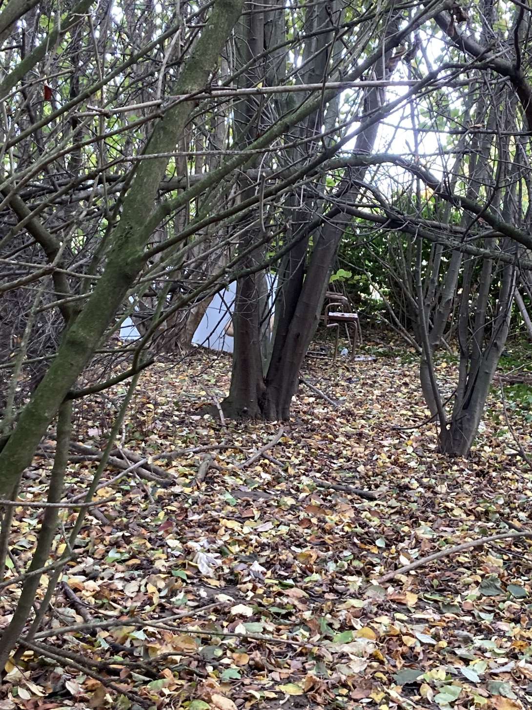 Bild zu gemeldetem Anliegen vom *2025-10-29 13:34:58