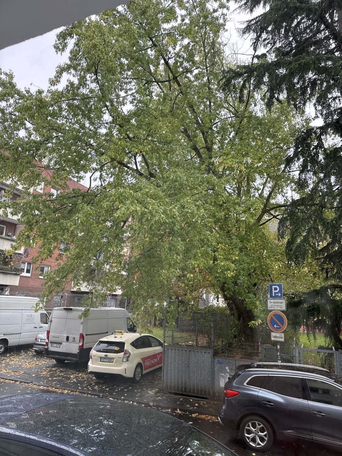 Bild zu gemeldetem Anliegen vom *2025-10-25 16:09:01