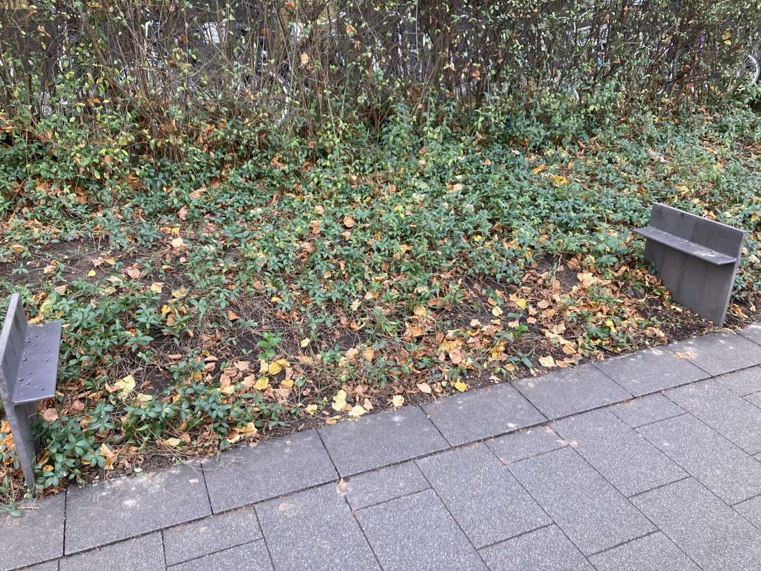 Bild zu gemeldetem Anliegen vom *2025-10-31 15:56:08