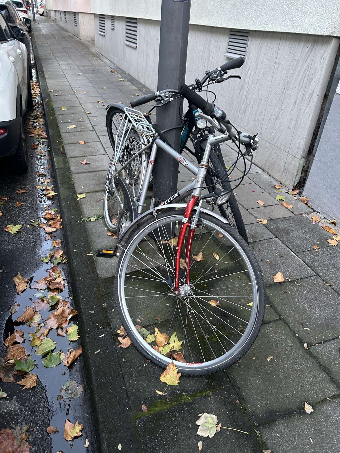 Bild zu gemeldetem Anliegen vom *2025-10-04 18:32:05