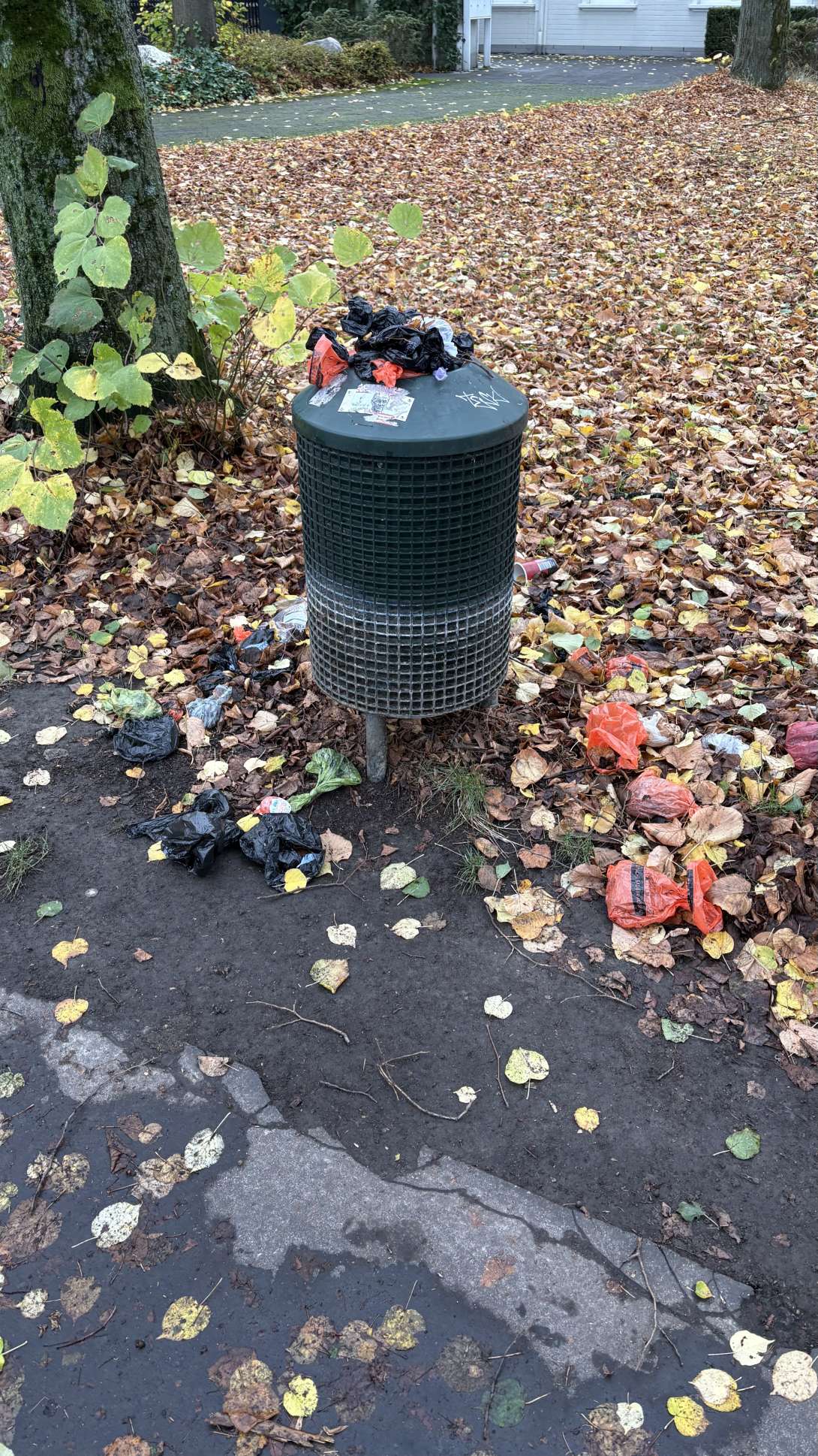 Bild zu gemeldetem Anliegen vom *2025-10-26 14:26:53