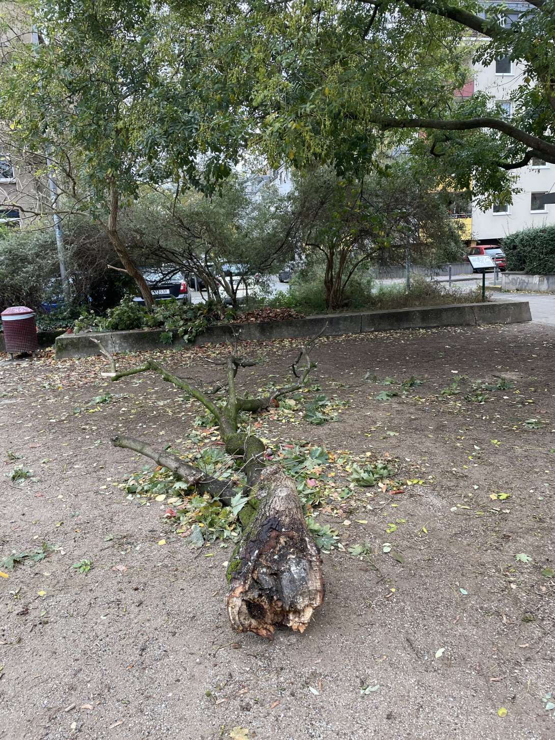 Bild zu gemeldetem Anliegen vom *2025-10-26 10:45:31