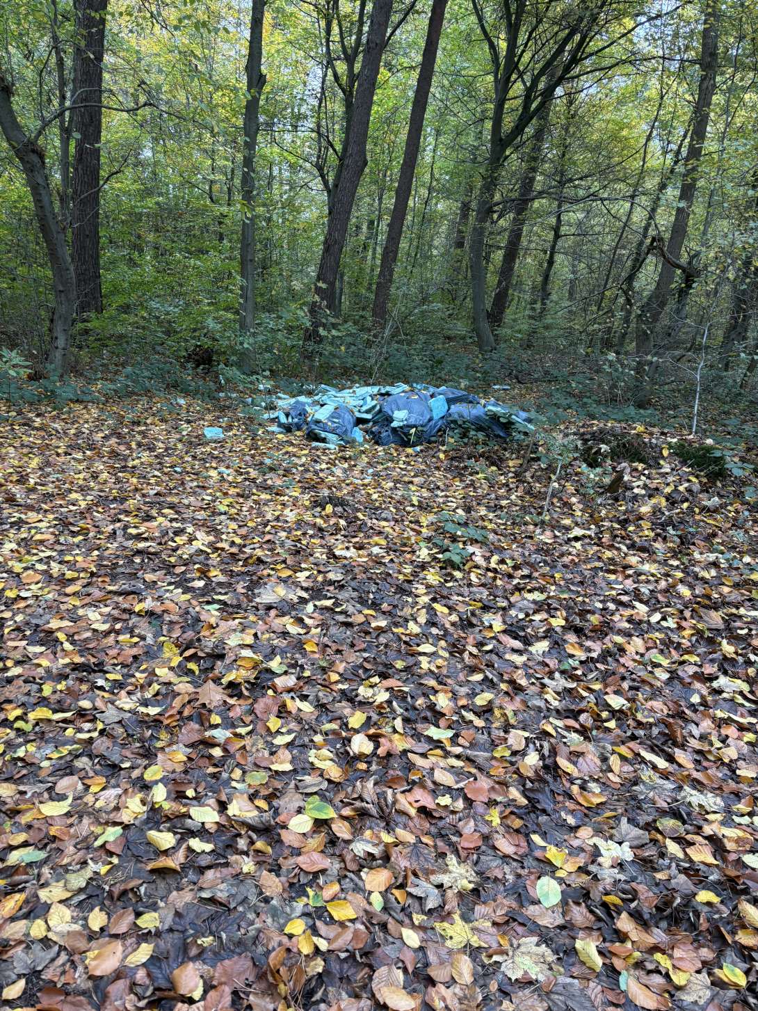 Bild zu gemeldetem Anliegen vom *2025-10-26 14:26:06