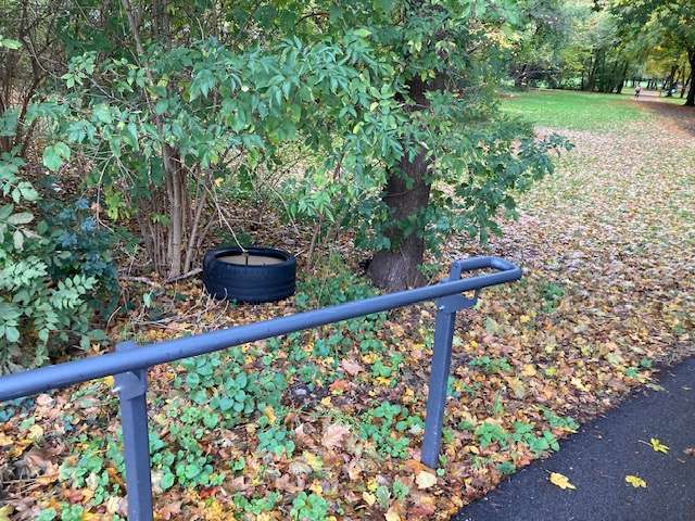 Bild zu gemeldetem Anliegen vom *2025-10-20 16:27:33