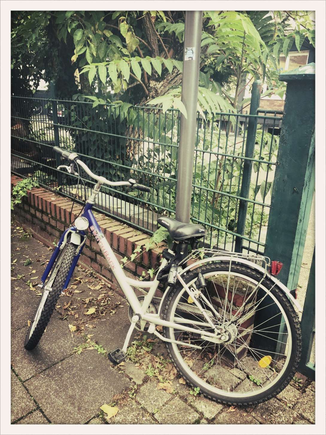 Fahrrad ggü Max Reger Str. 2, 2 Haustür 
