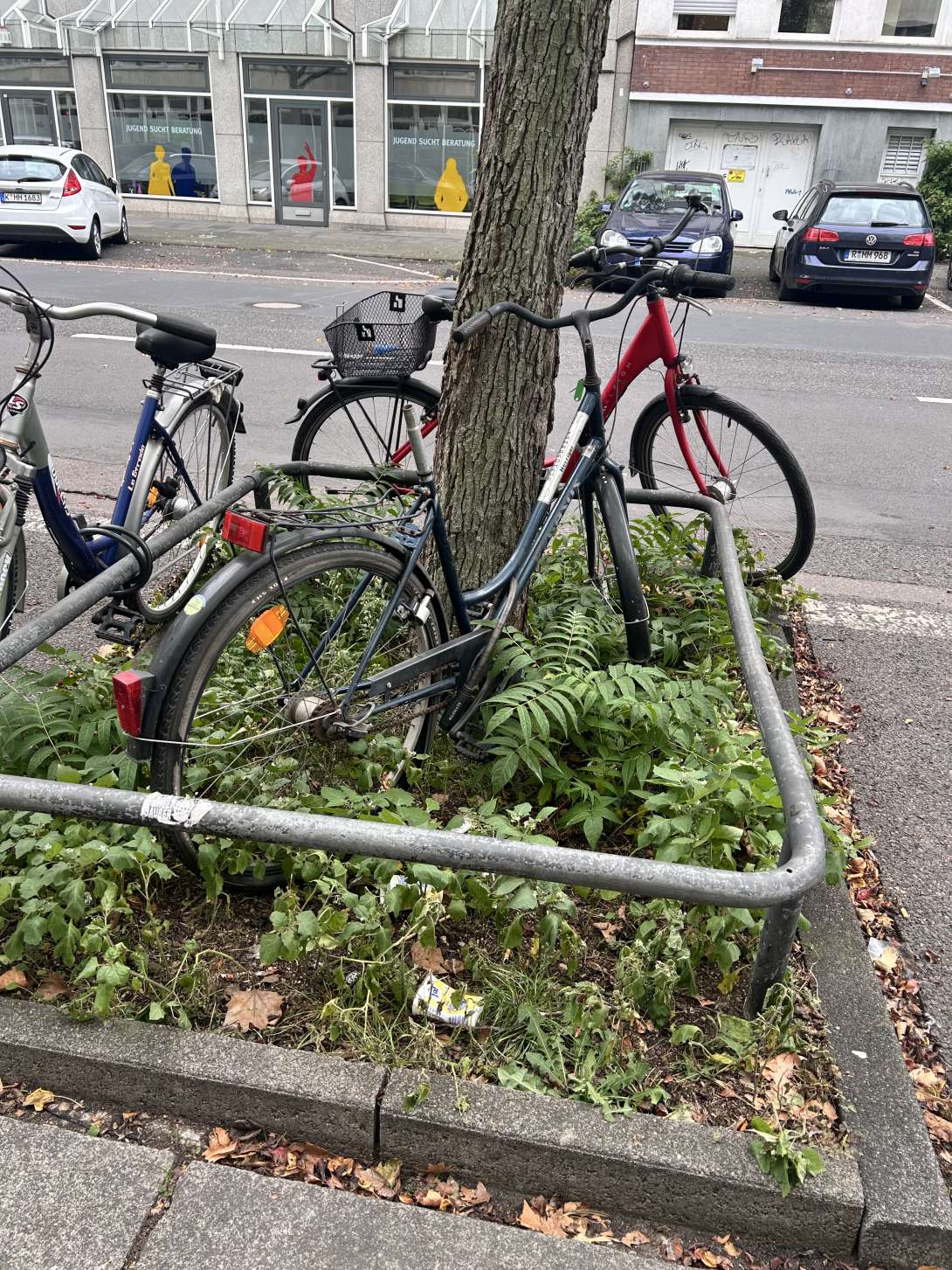 Bild zu gemeldetem Anliegen vom *2025-10-20 09:42:03