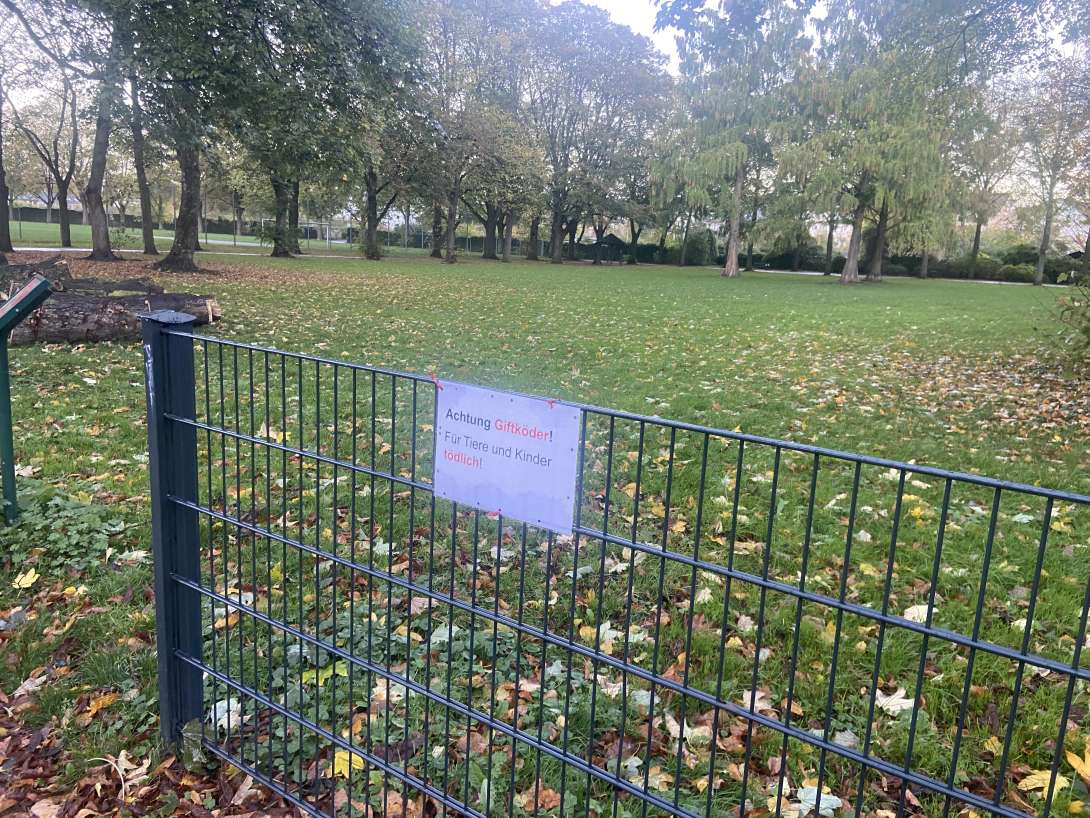 Bild zu gemeldetem Anliegen vom *2025-10-28 16:54:39