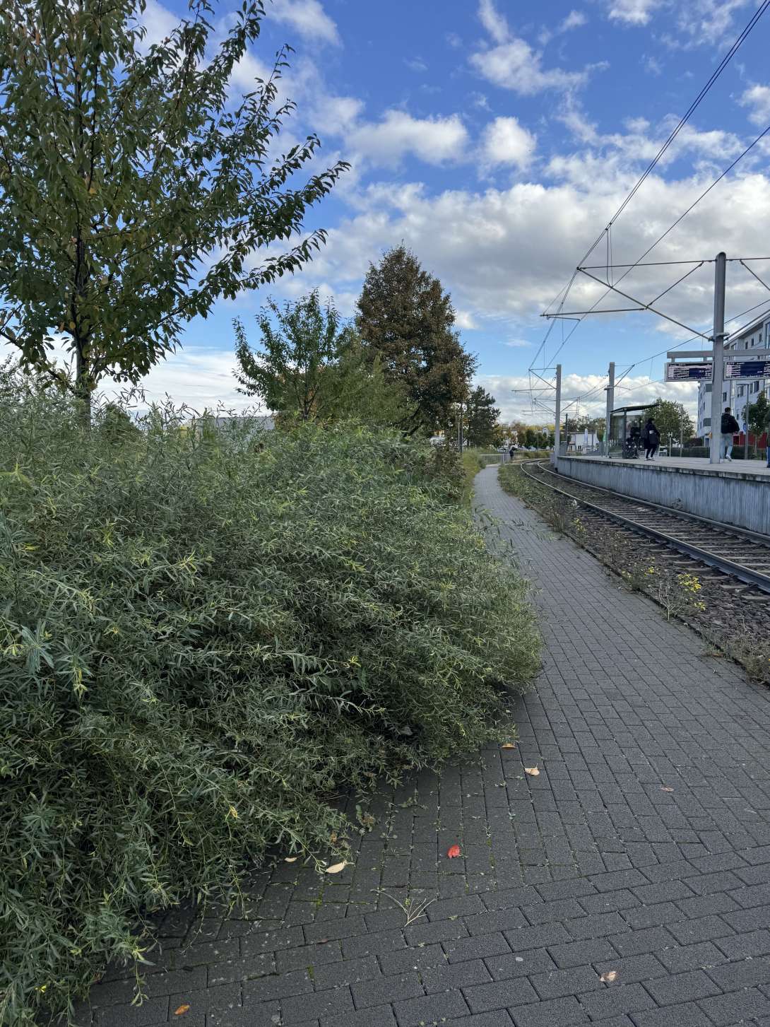 Bild zu gemeldetem Anliegen vom *2025-10-20 19:32:01