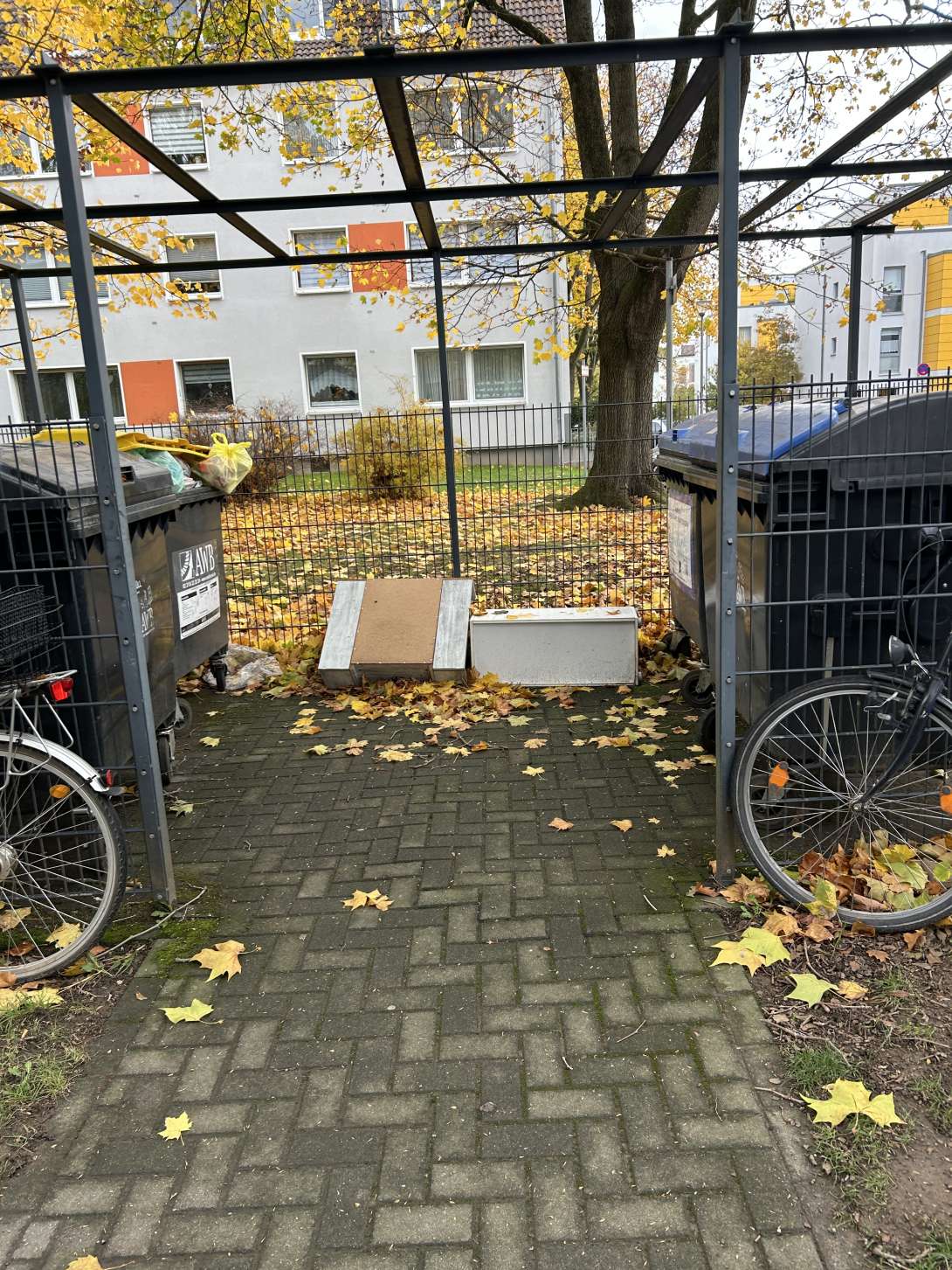 Bild zu gemeldetem Anliegen vom *2025-10-29 12:58:21