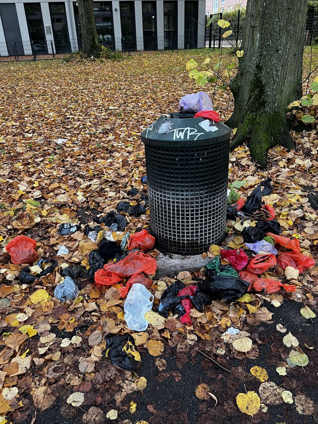 Bild zu gemeldetem Anliegen vom *2025-10-24 11:29:24