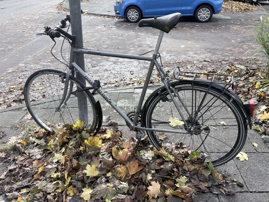 Bild zu gemeldetem Anliegen vom *2025-10-29 09:36:15