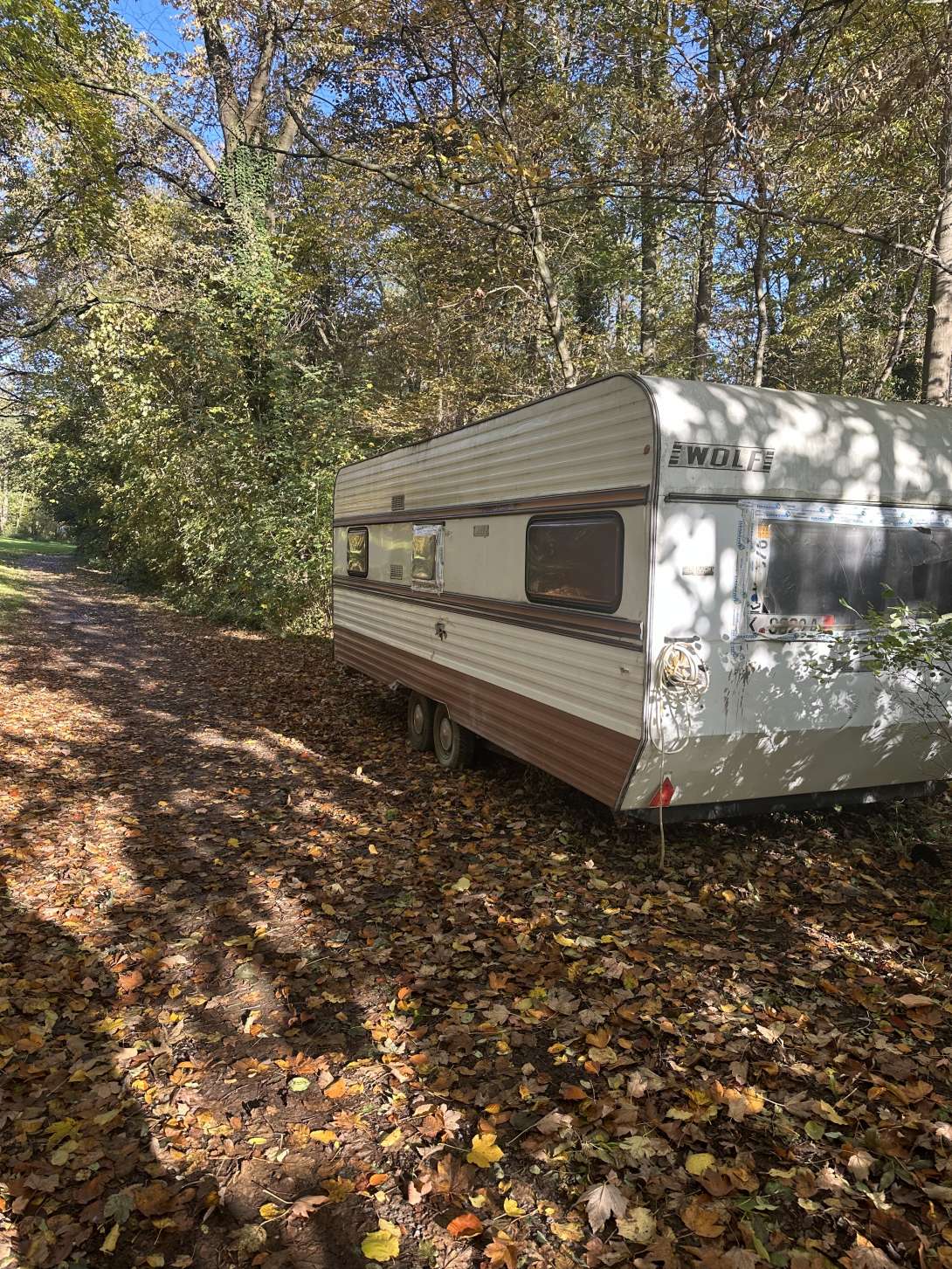 Bild zu gemeldetem Anliegen vom *2025-10-30 10:44:33