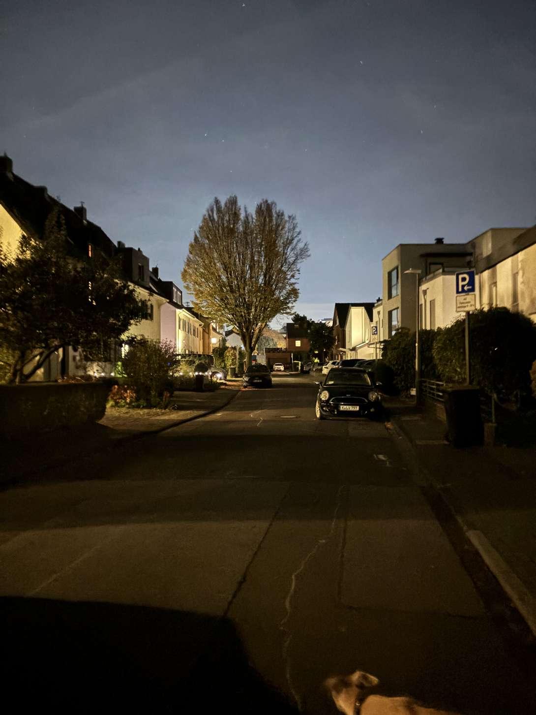 Bild zu gemeldetem Anliegen vom *2025-10-22 21:26:02