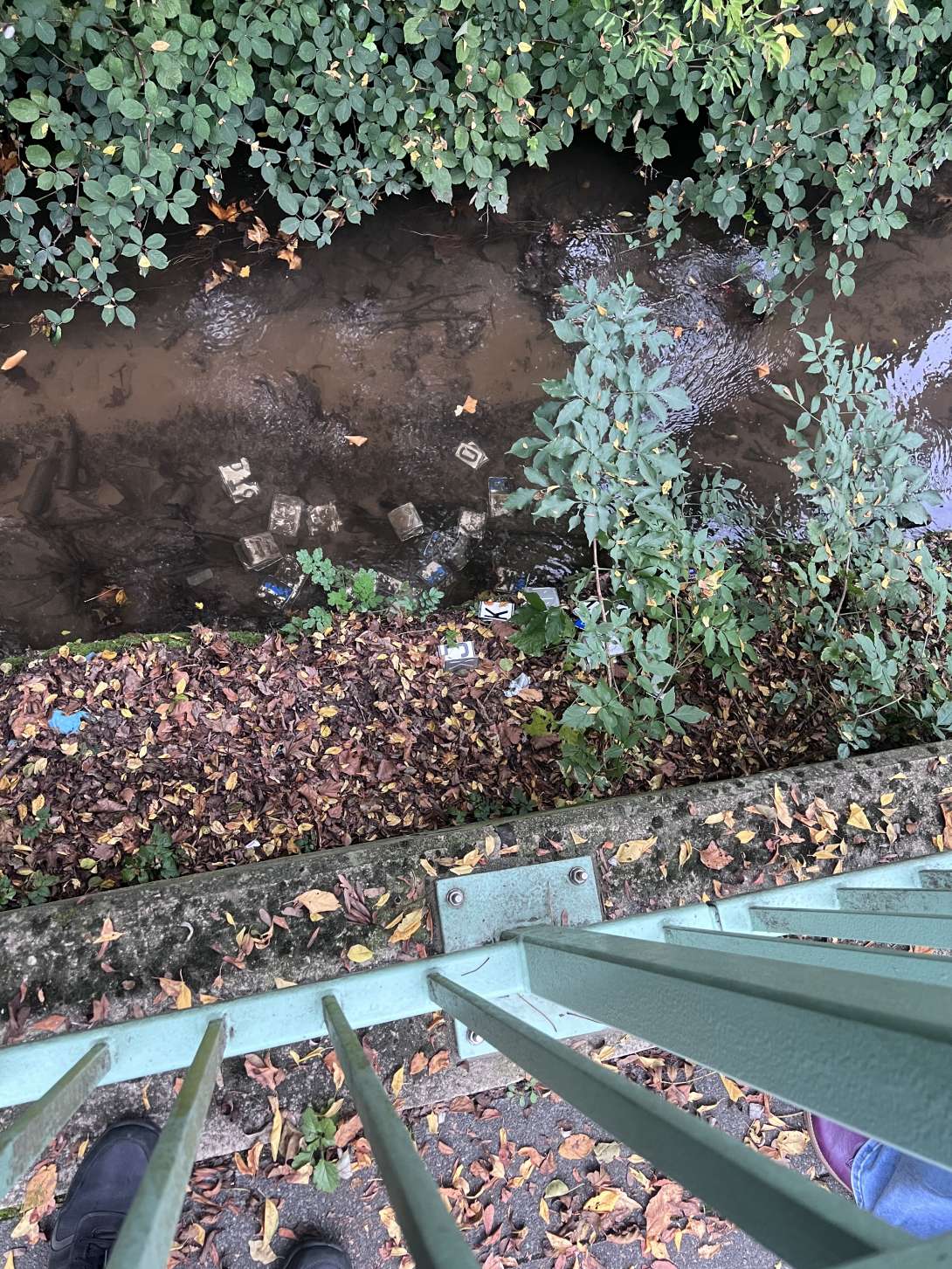 Bild zu gemeldetem Anliegen vom *2025-10-20 12:16:10