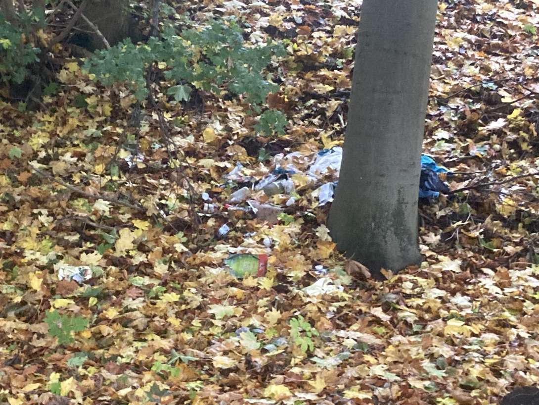 Bild zu gemeldetem Anliegen vom *2025-10-30 08:29:10