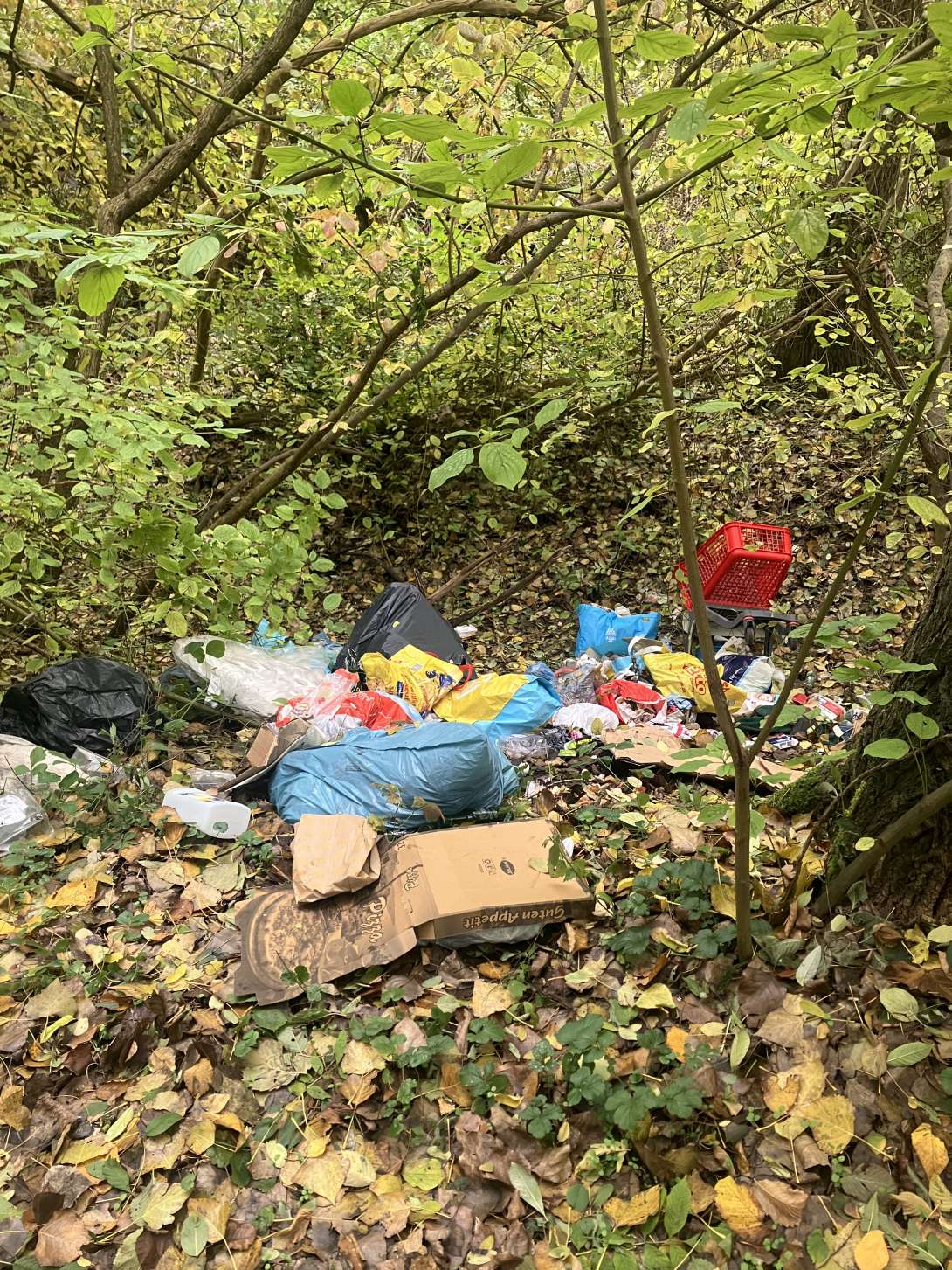 Bild zu gemeldetem Anliegen vom *2025-11-03 13:20:58