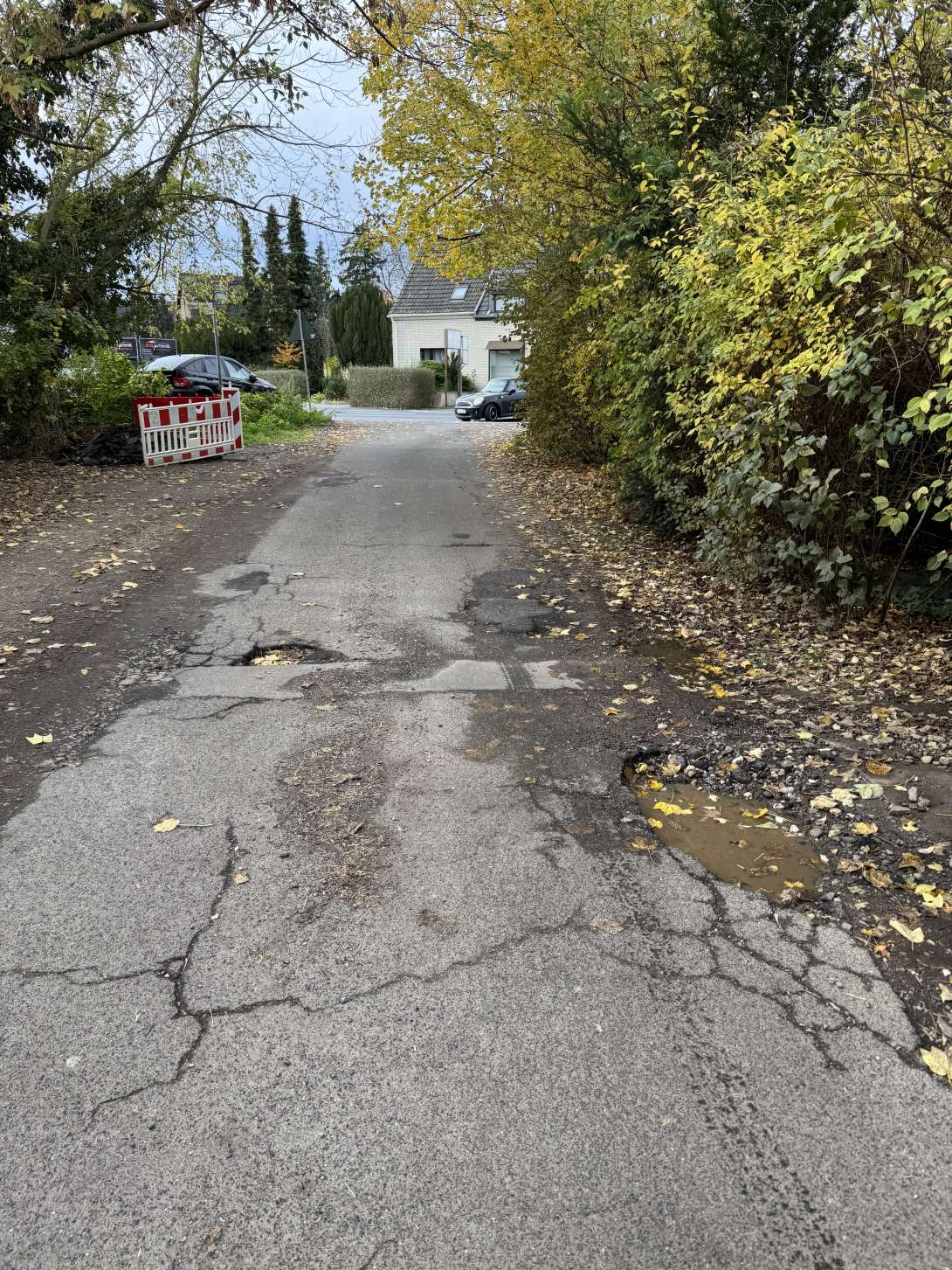 Bild zu gemeldetem Anliegen vom *2025-10-31 13:03:13