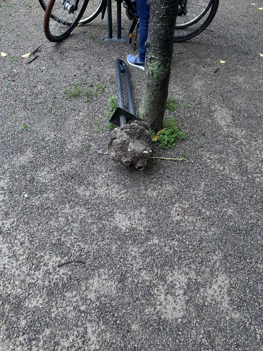 Bild zu gemeldetem Anliegen vom *2025-10-28 13:59:14