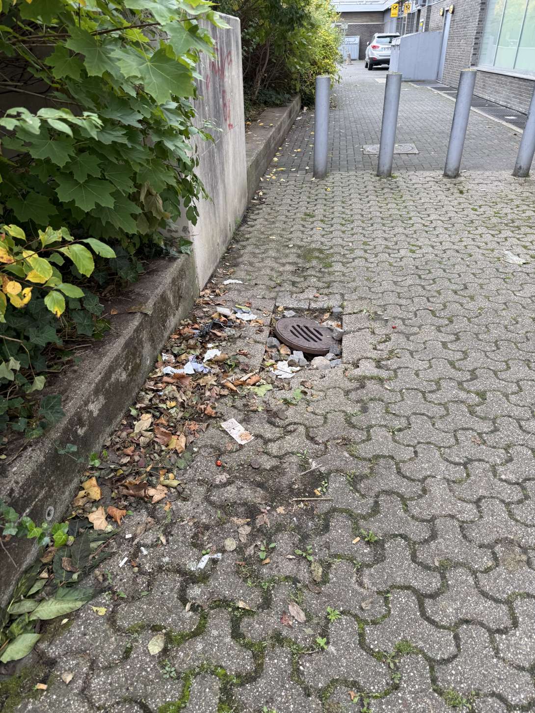 Bild zu gemeldetem Anliegen vom *2025-10-12 15:30:04