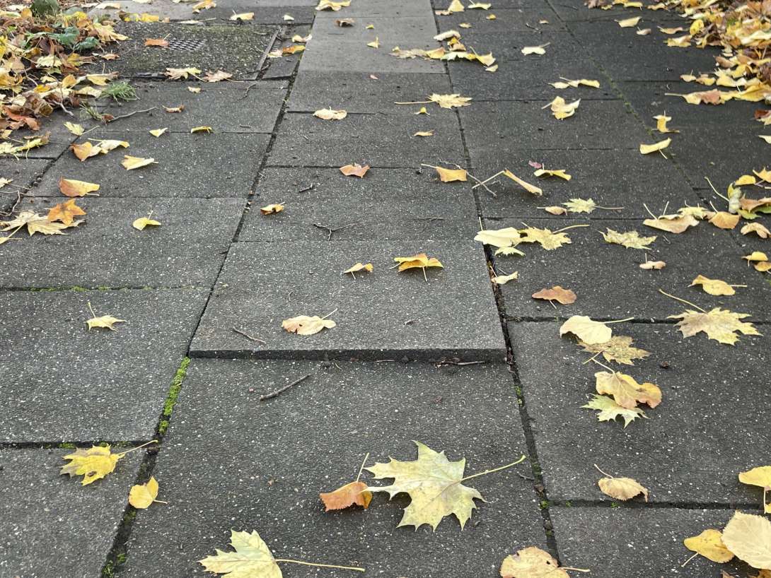 Bild zu gemeldetem Anliegen vom *2025-10-30 11:08:02