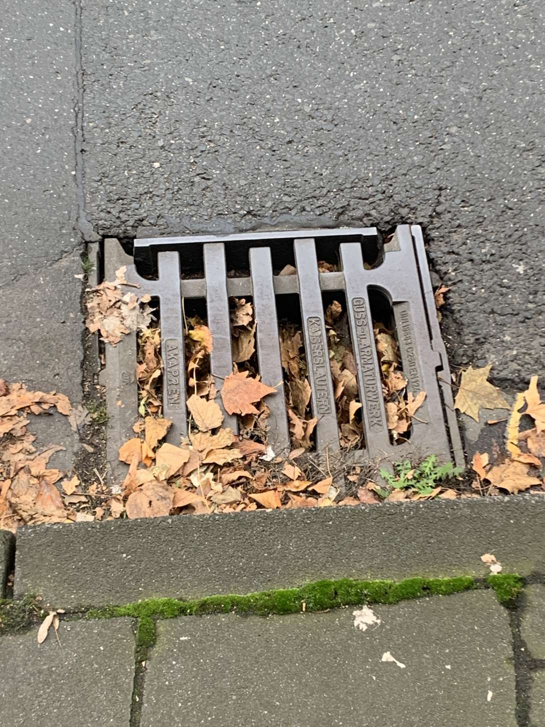 Bild zu gemeldetem Anliegen vom *2025-10-22 09:29:53