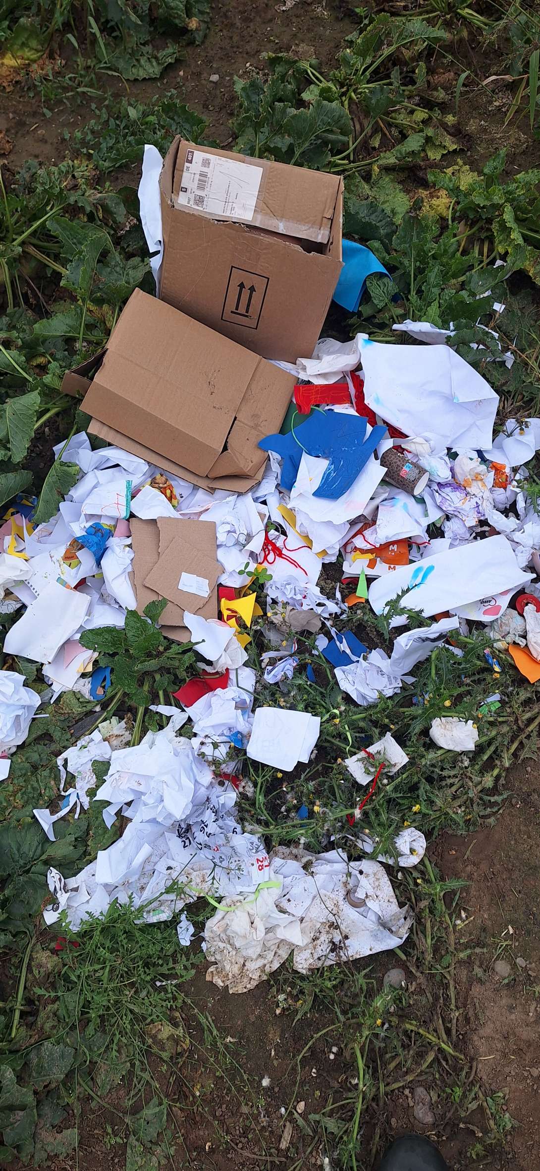 Bild zu gemeldetem Anliegen vom *2025-10-20 12:20:00