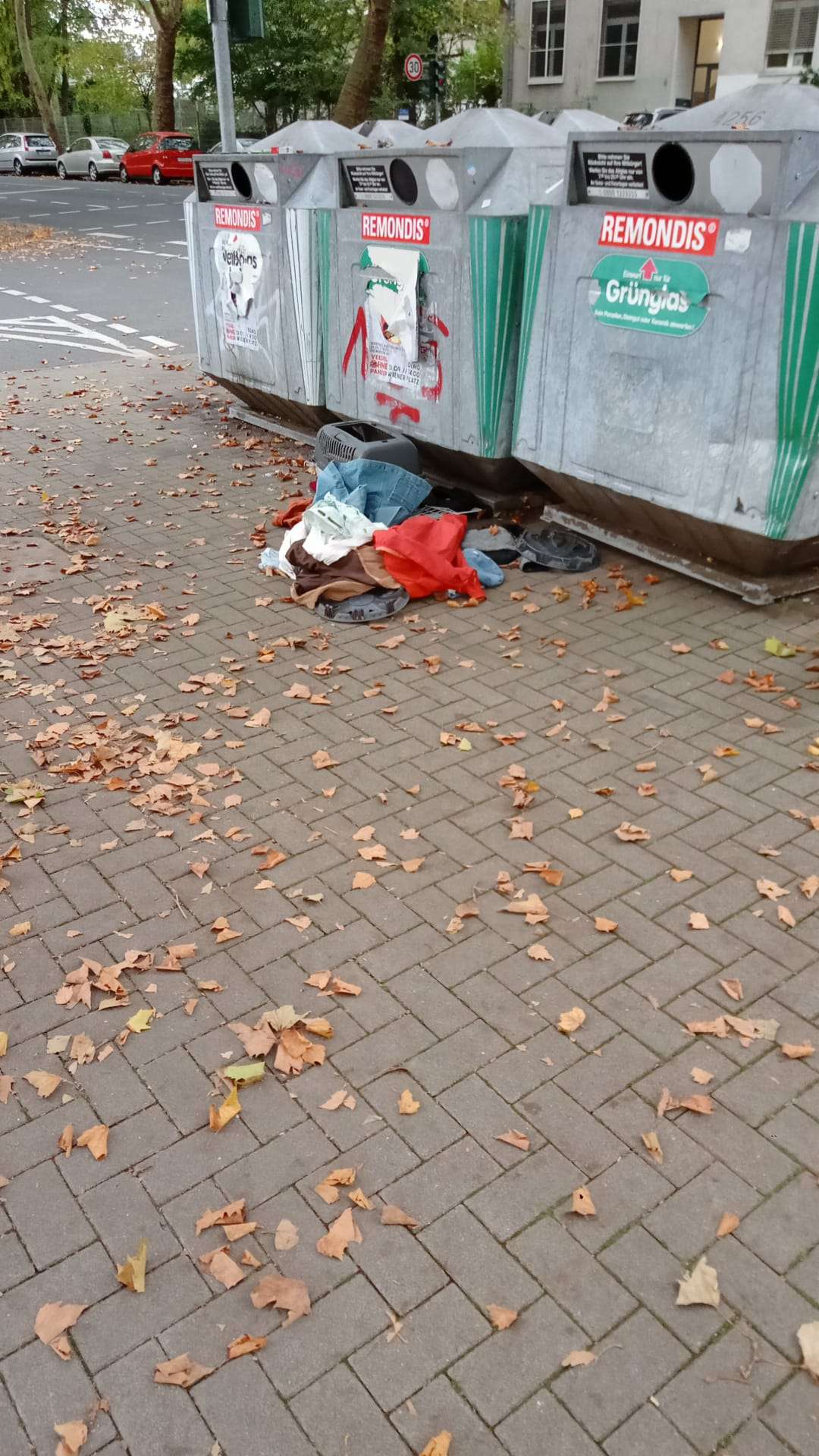 Bild zu gemeldetem Anliegen vom *2025-10-17 18:27:56