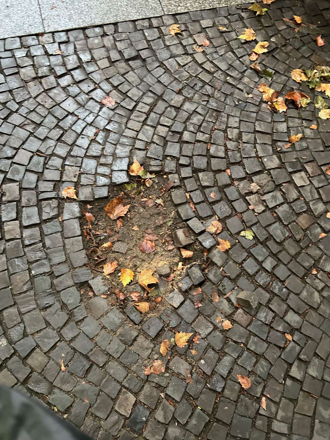 Bild zu gemeldetem Anliegen vom *2025-10-08 16:24:48