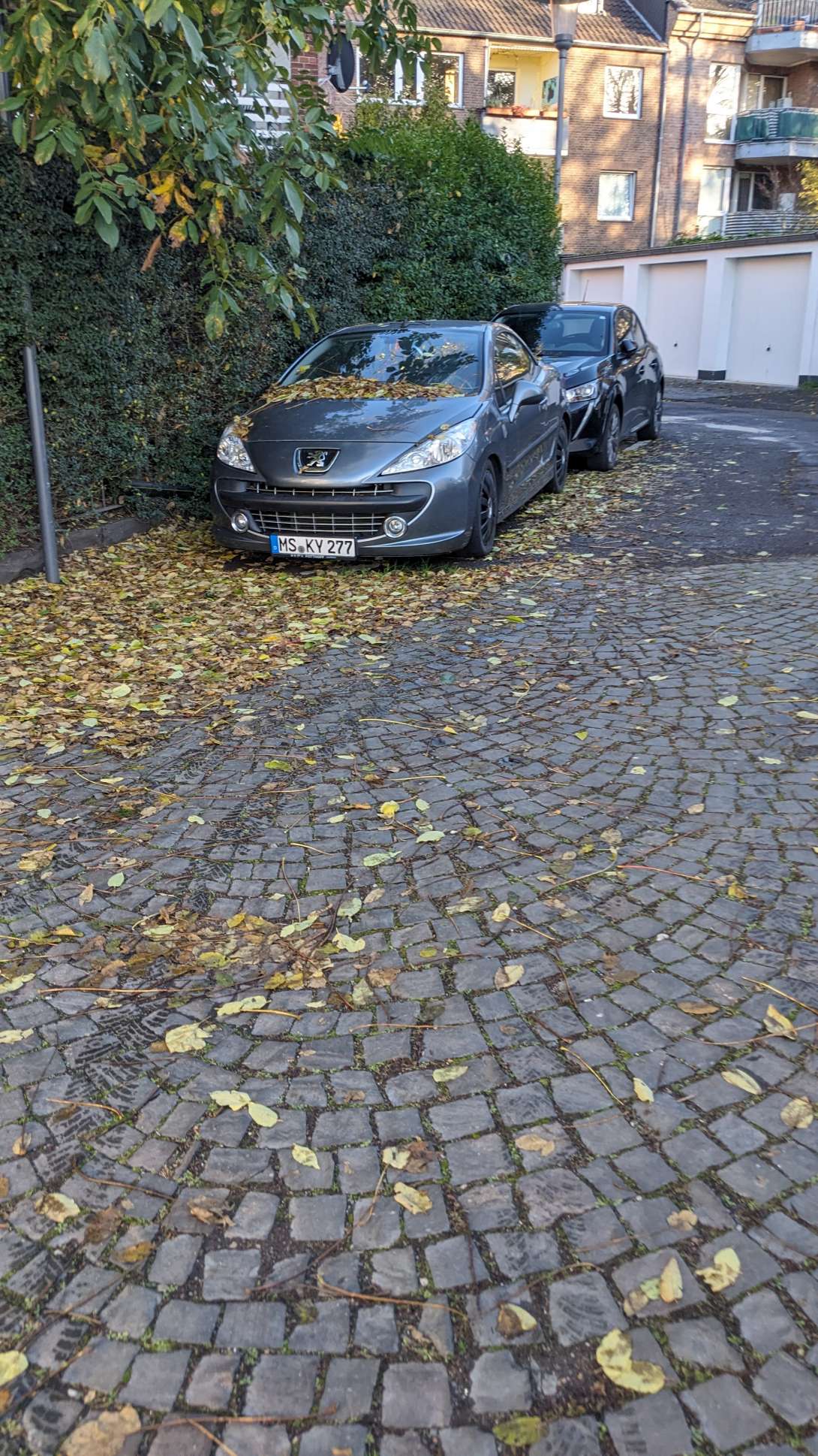 Bild zu gemeldetem Anliegen vom *2025-10-24 06:29:33