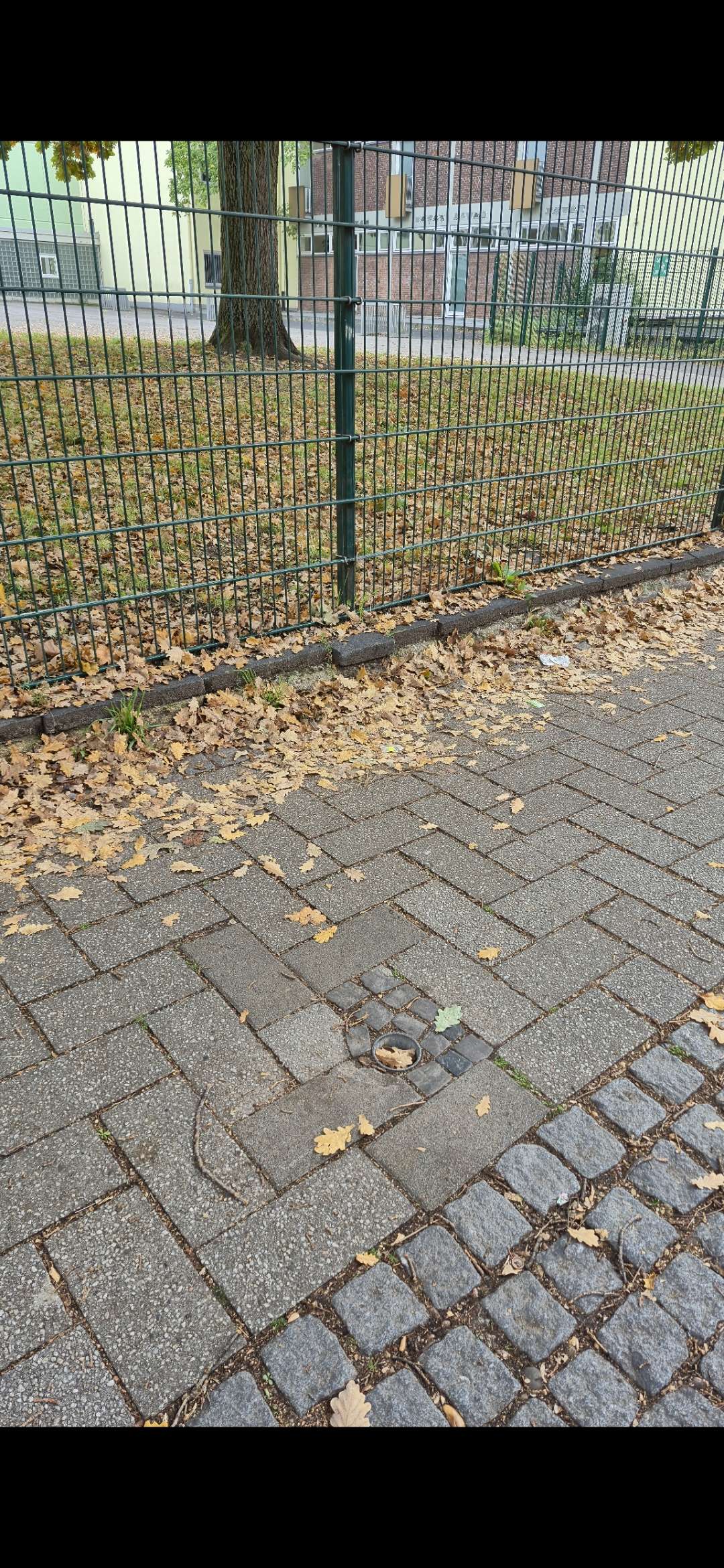 Bild zu gemeldetem Anliegen vom *2025-10-10 11:07:58