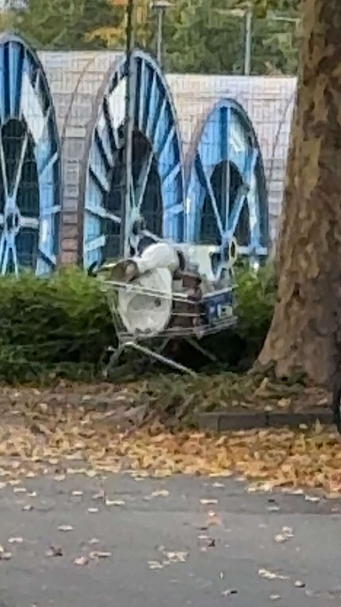 Bild zu gemeldetem Anliegen vom *2025-10-18 22:15:14