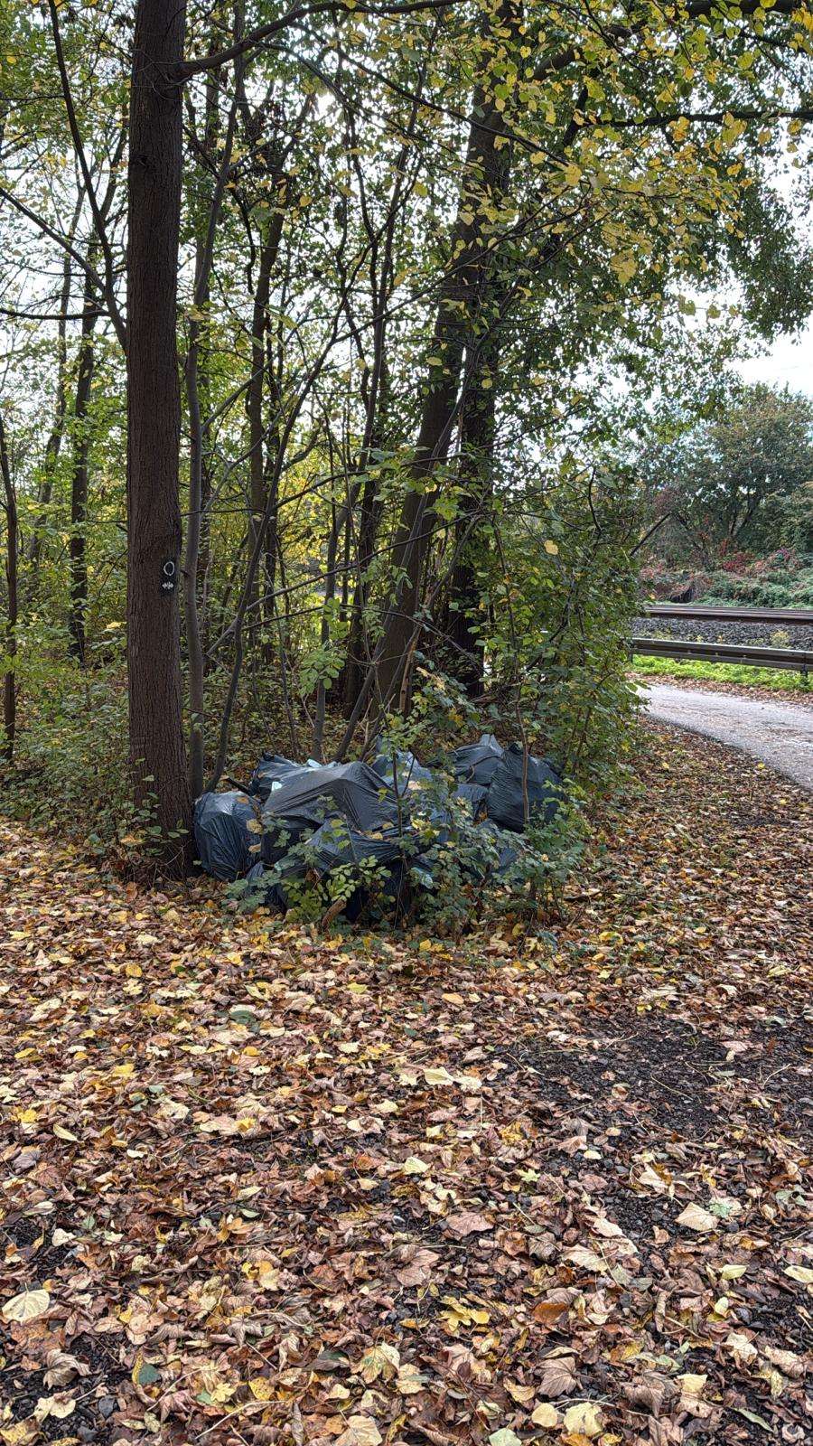 Bild zu gemeldetem Anliegen vom *2025-10-26 13:48:46