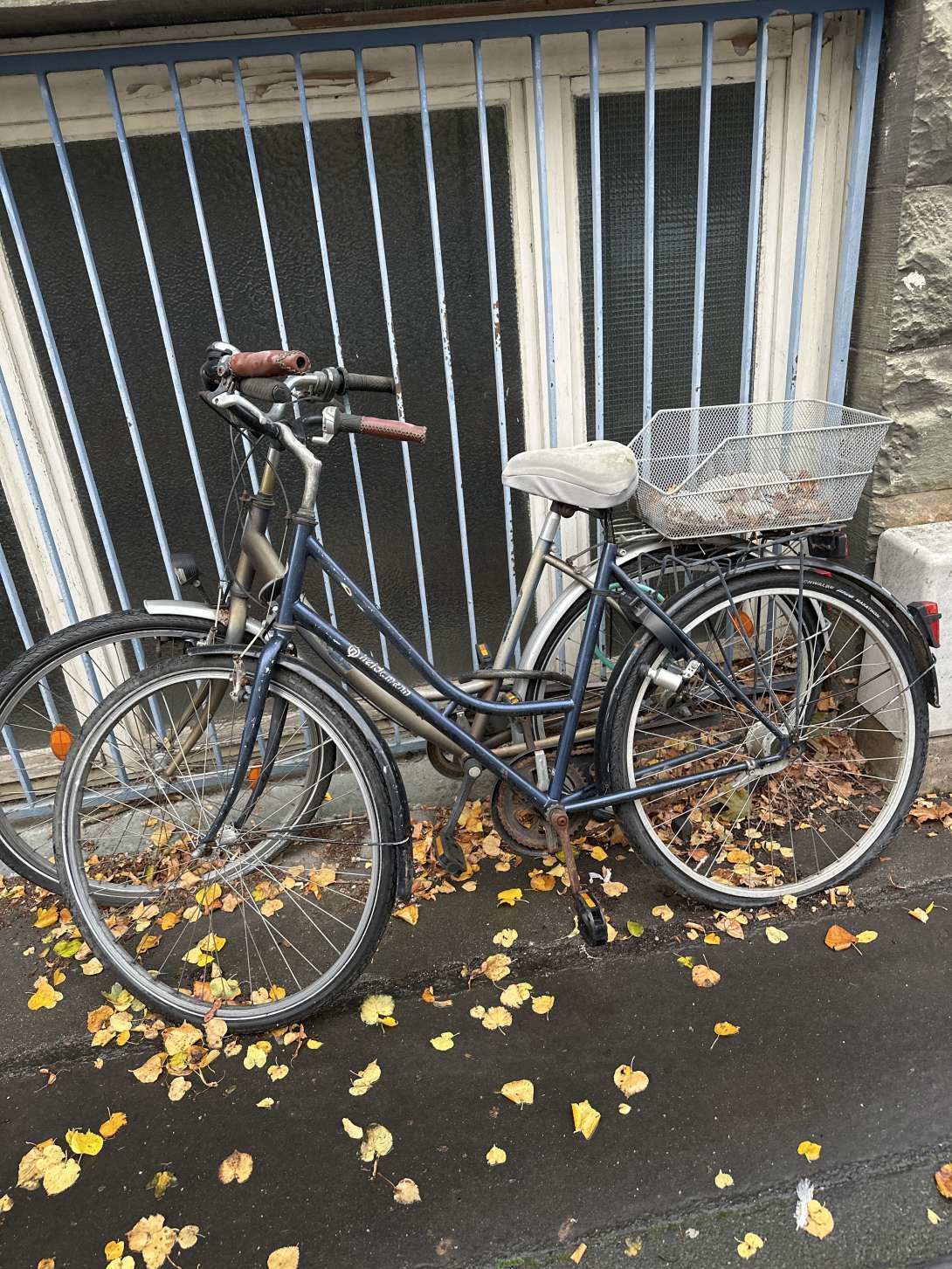 Bild zu gemeldetem Anliegen vom *2025-10-21 08:56:35