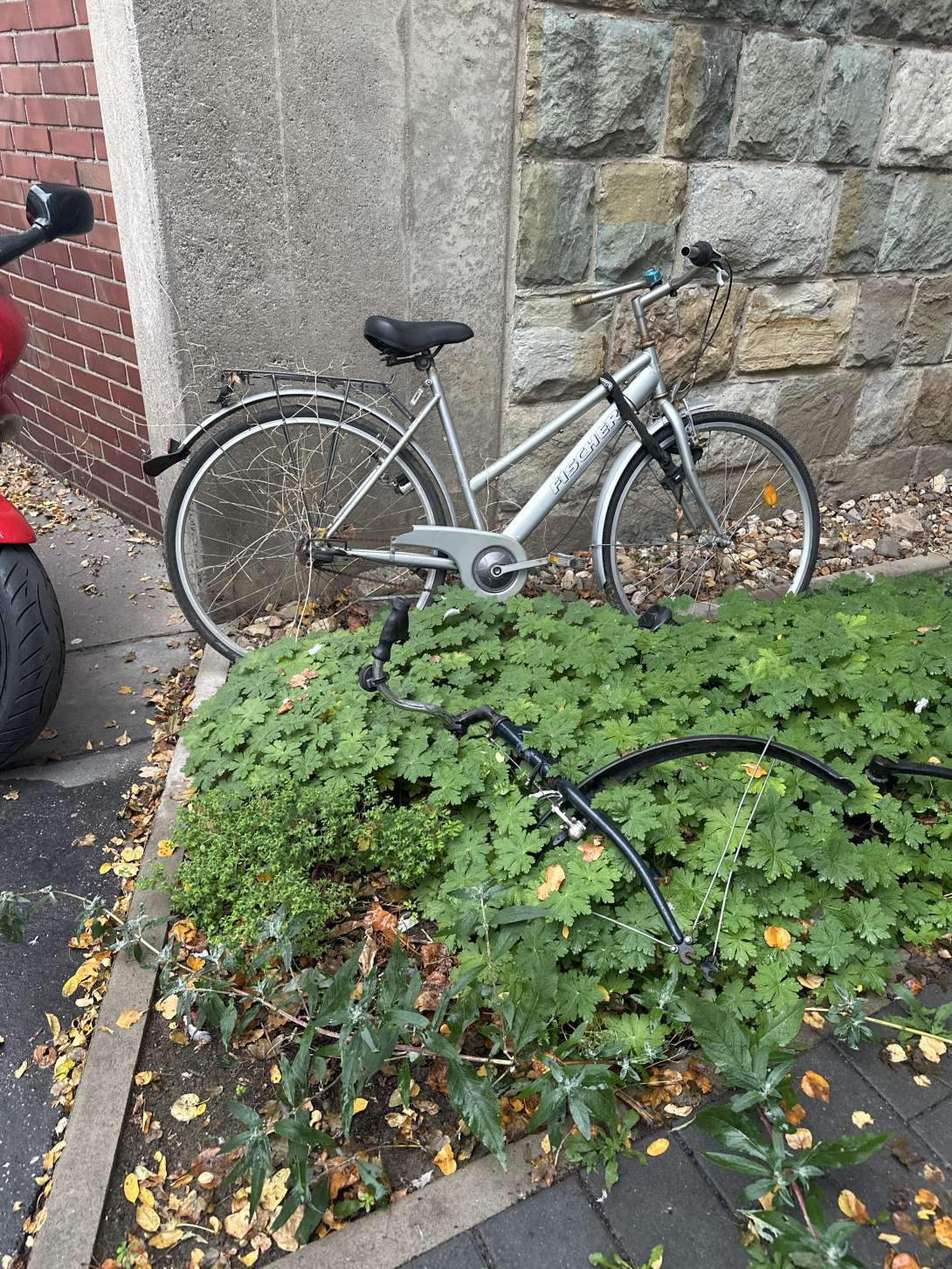 Bild zu gemeldetem Anliegen vom *2025-10-21 08:58:31