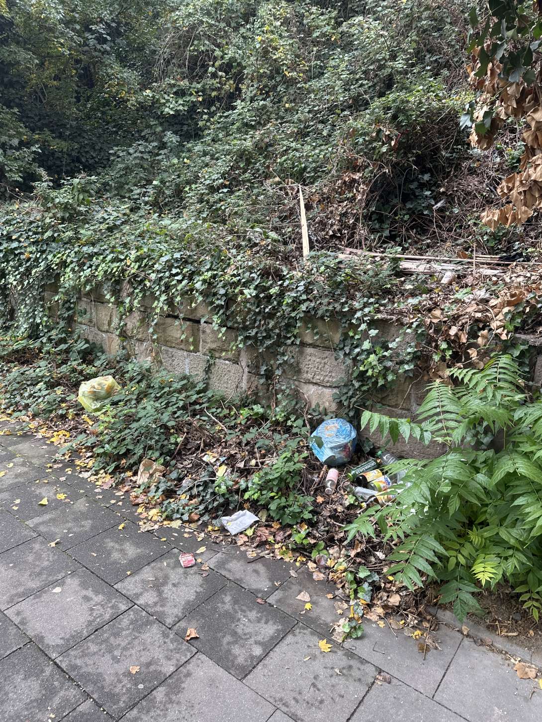 Bild zu gemeldetem Anliegen vom *2025-10-21 14:51:15