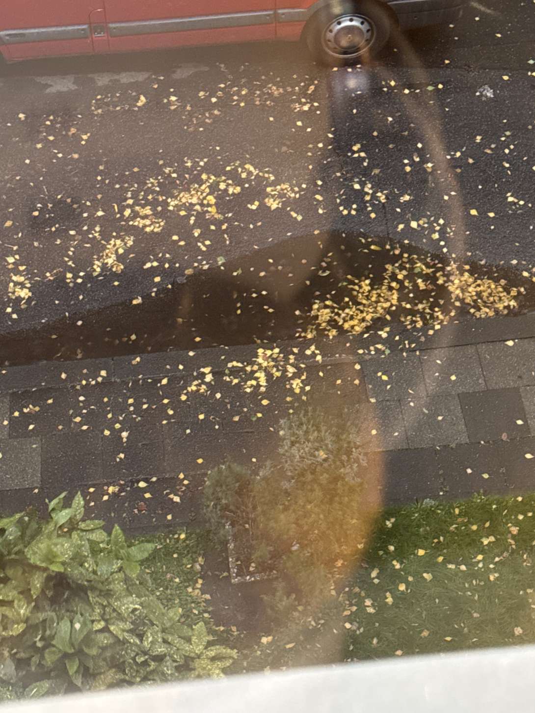 Bild zu gemeldetem Anliegen vom *2025-10-23 18:19:47