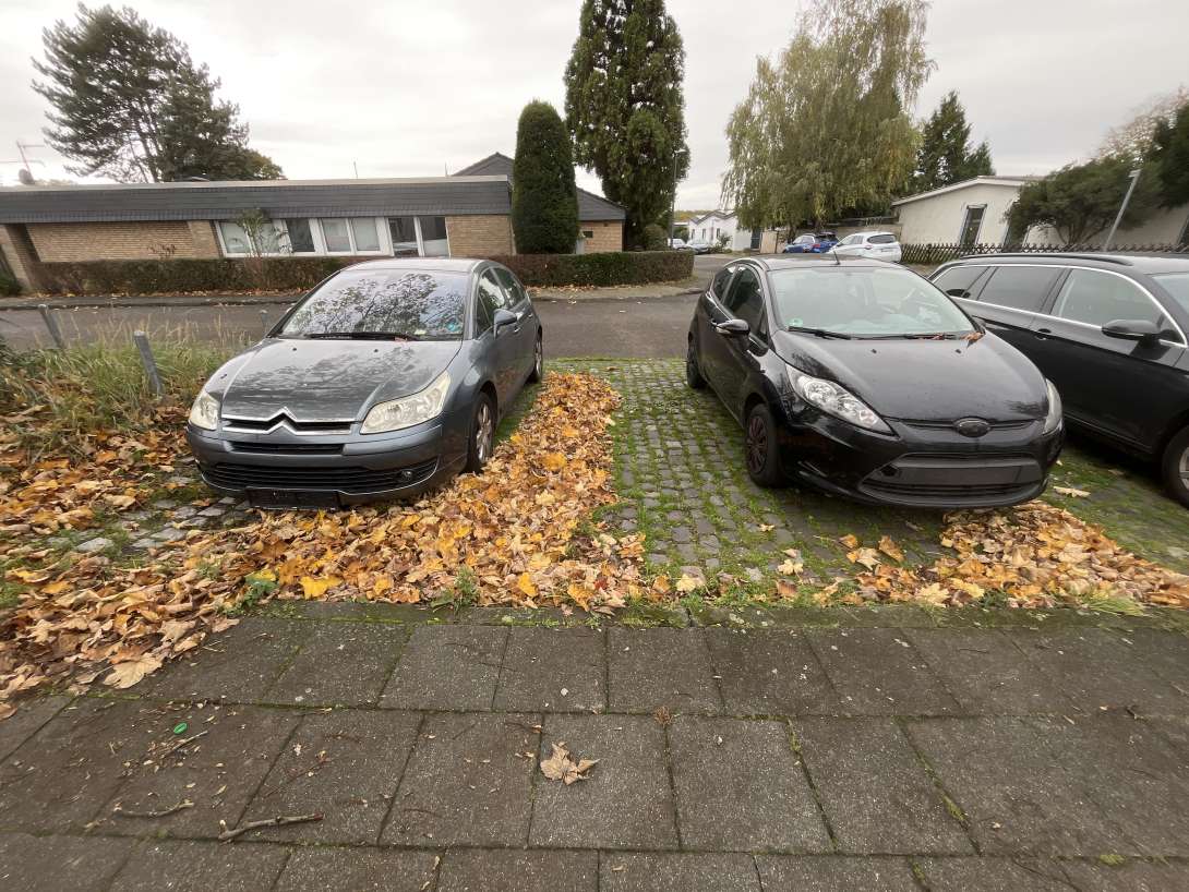 Bild zu gemeldetem Anliegen vom *2025-10-26 09:33:41