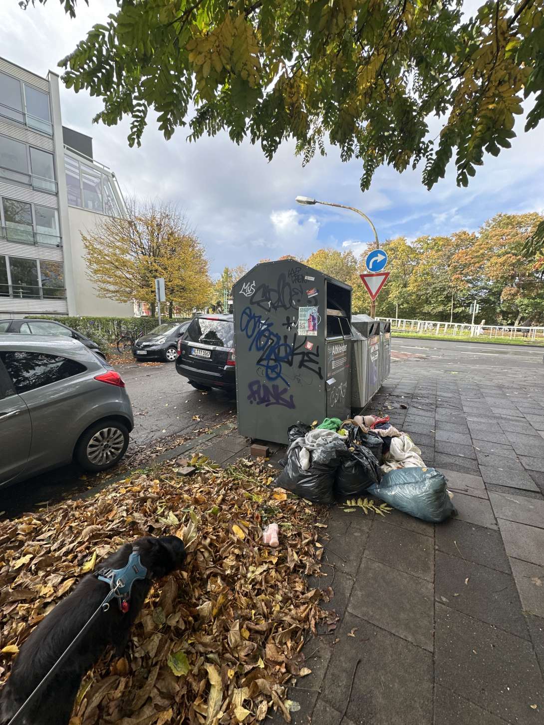 Bild zu gemeldetem Anliegen vom *2025-10-27 10:28:32