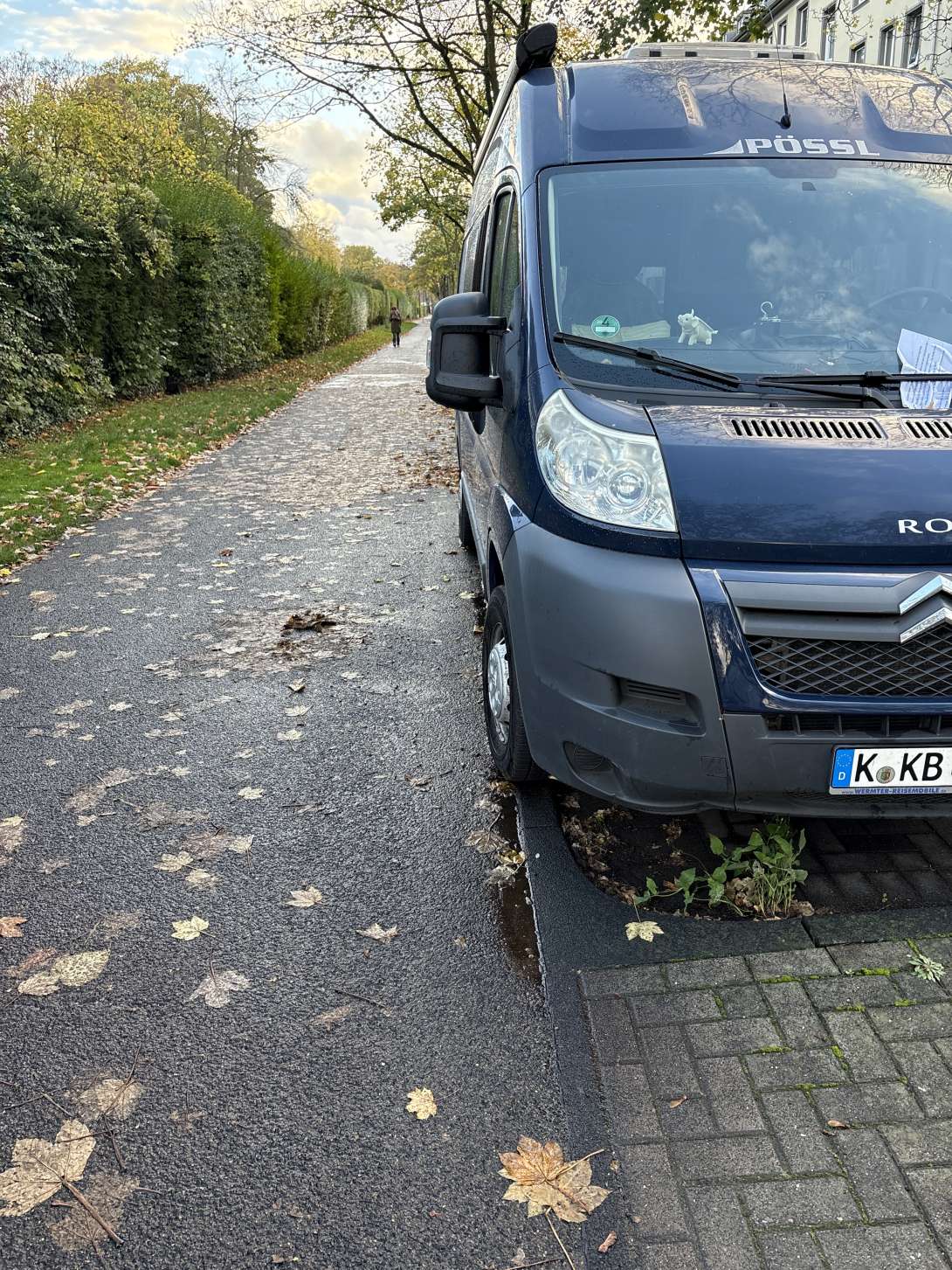 Bild zu gemeldetem Anliegen vom *2025-10-27 15:28:19