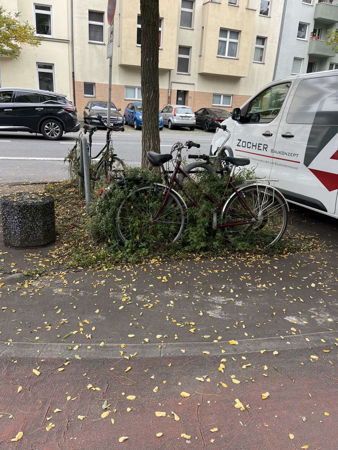 Bild zu gemeldetem Anliegen vom *2025-10-11 13:45:02