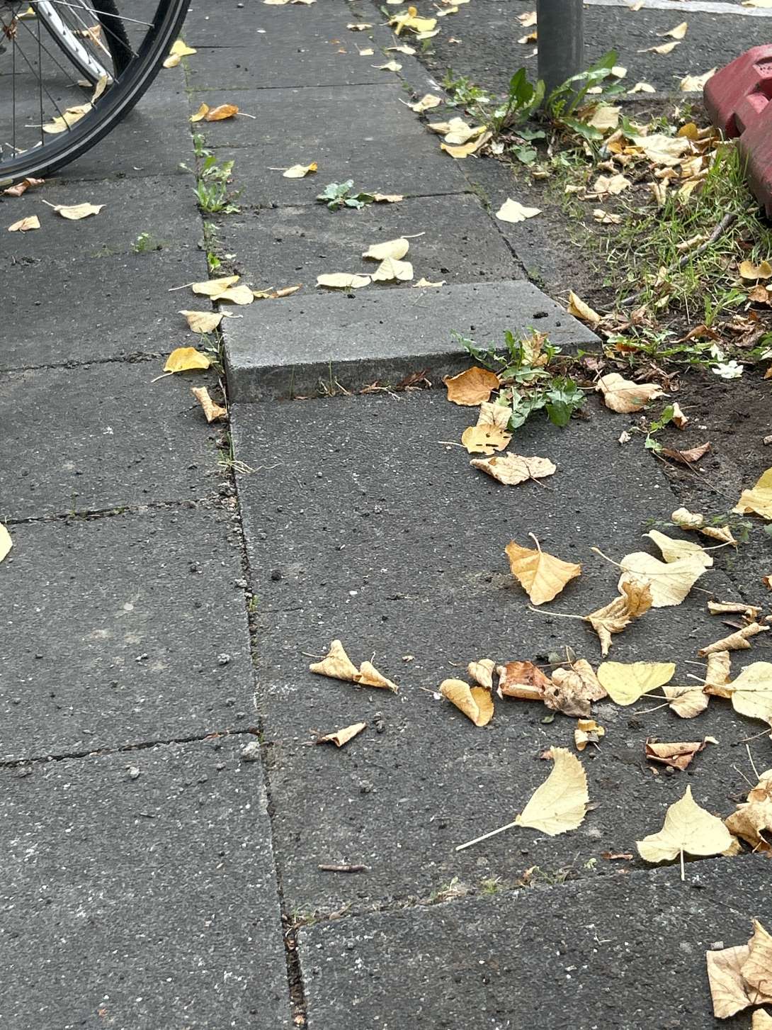 Bild zu gemeldetem Anliegen vom *2025-10-17 11:06:24