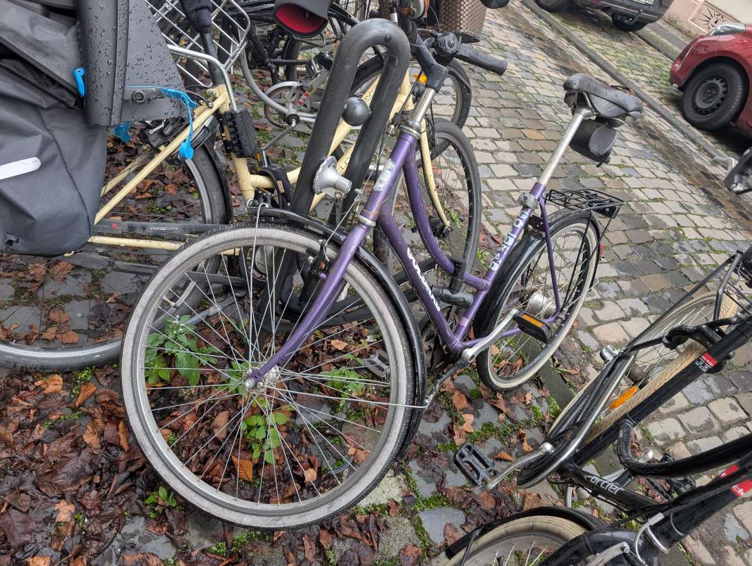 Bild zu gemeldetem Anliegen vom *2025-11-17 09:28:13