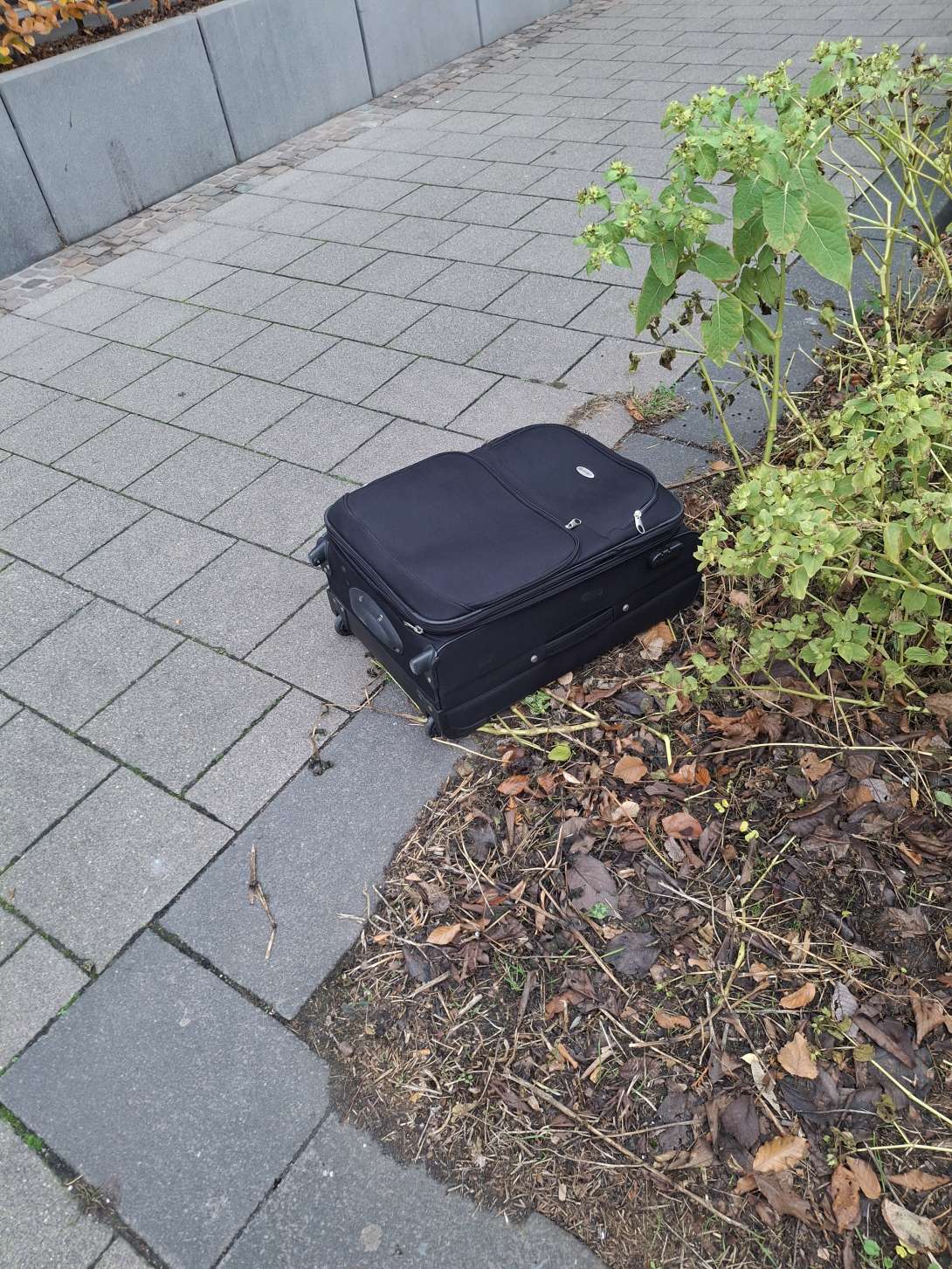 Bild zu gemeldetem Anliegen vom *2025-11-19 12:15:46